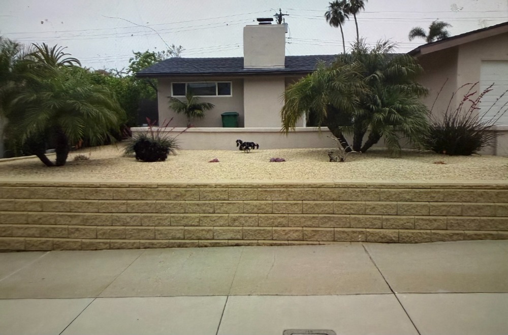 Planting and retaining walls project